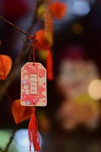 sâm lốc trực tuyến Sodo